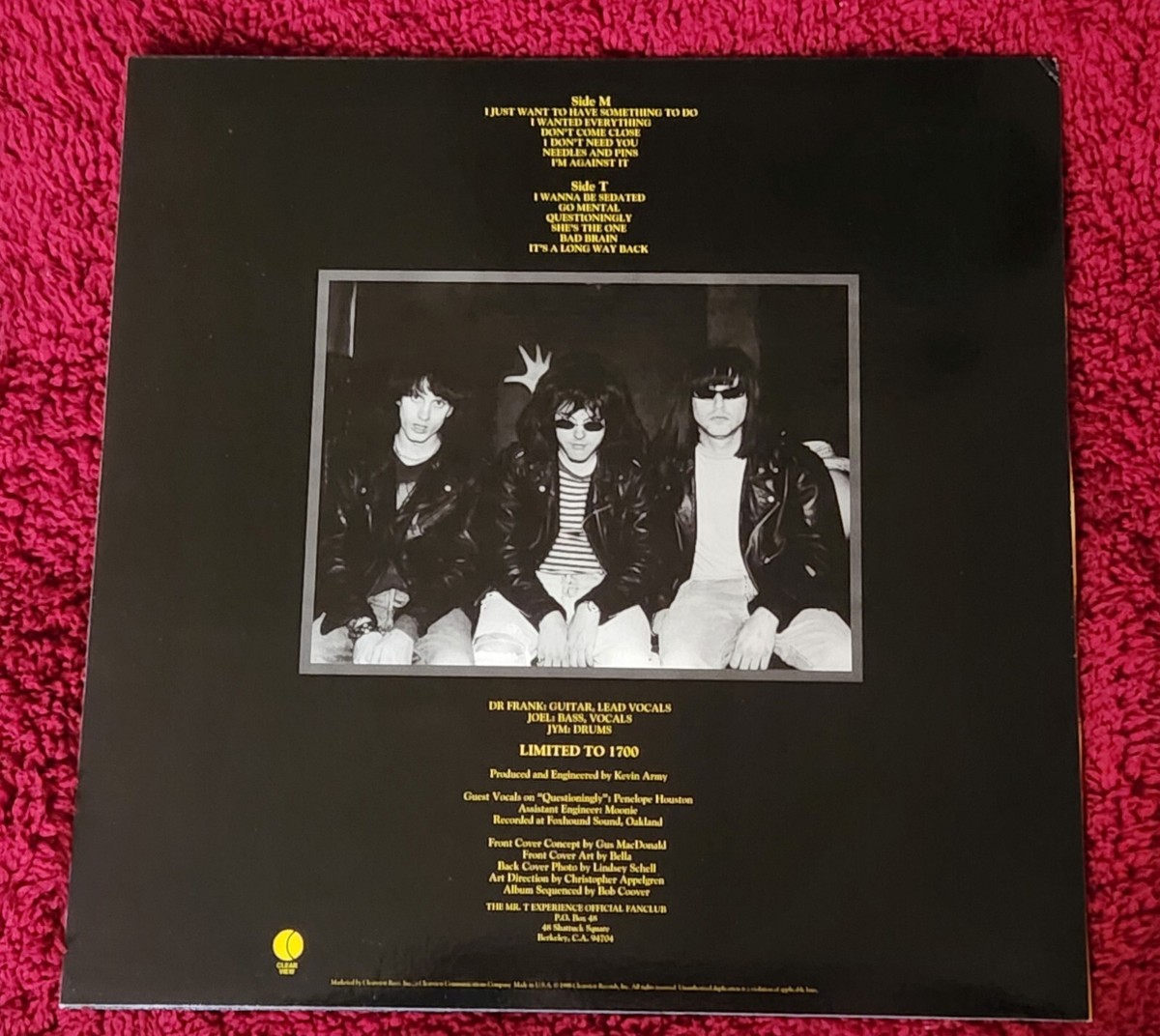 Mr. T Experience Road To Ruin LP 1998 white vinyl version