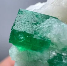 339 Carat Top Quality Natural Swat Emerald Crystal On White Matrix from Pakistan