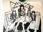 Super Rare 1980 RAMONES DeKalb, IL HS Concert Poster — photo 2