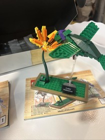 LEGO Ideas 21301 Birds Set Blue Jay Hummingbird Robin With Box