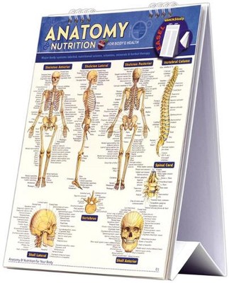 Anatomie & Ernährung für Körper & Gesundheit Staffelei Buch: ein QuickStudy-Nachschlagewerk mit
