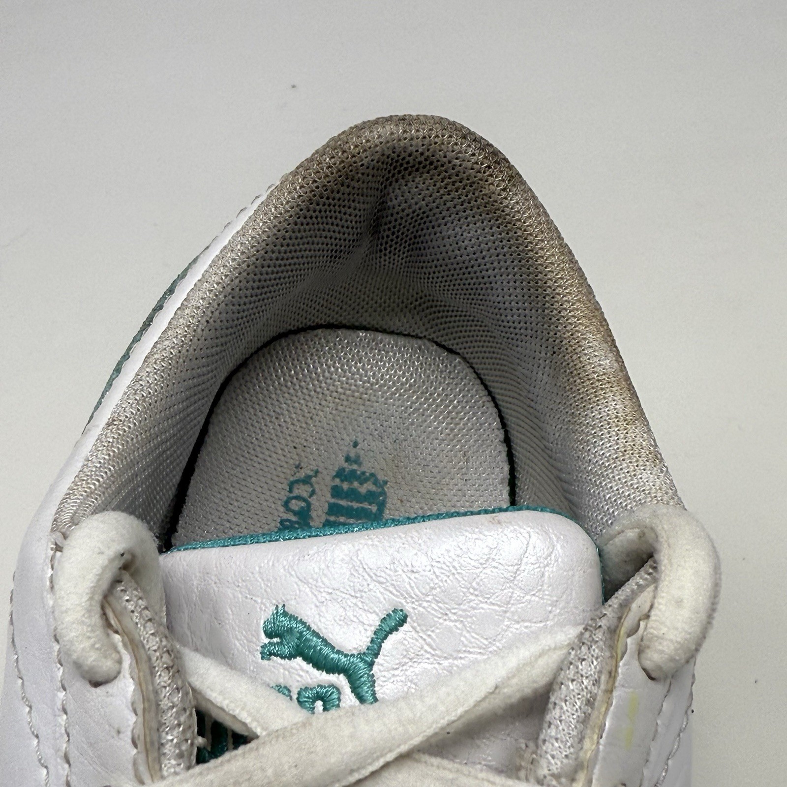 Foto 12 di 17