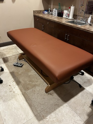 Oakworks Electric Hi-Lo Treatment Table Brown Upholstery Professional