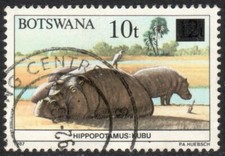 Botswana Stamp Scott 507 Used 10t on 12t (Scott 412) Wildlife Conservation 1992