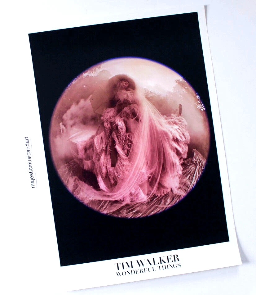 BEAUTIFUL ORIGINAL TIM WALKER 2018 EXHIBITION POSTER - image 4 of 4