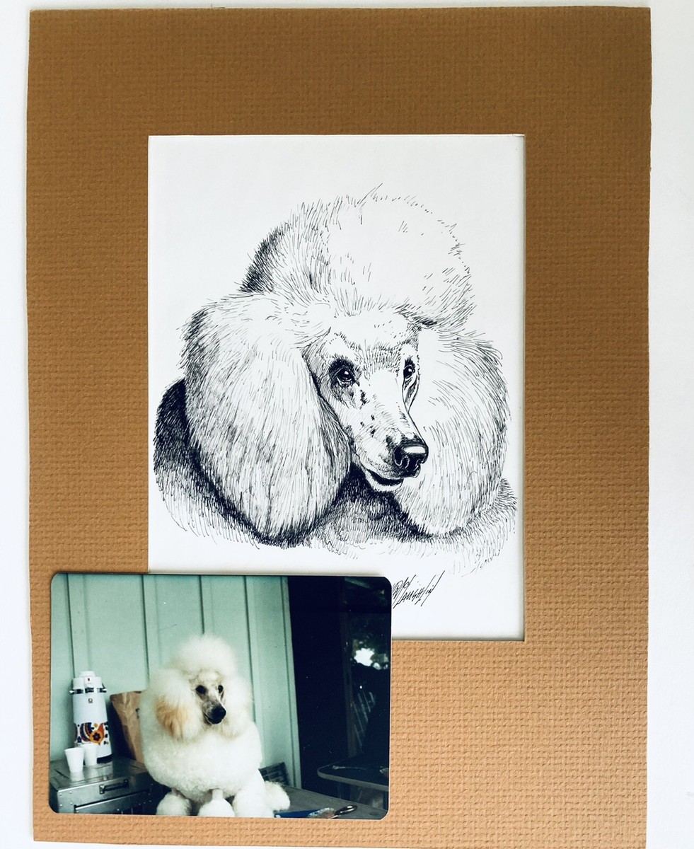 Laughlin 70s Photo Pet Drawing Art MCM Retro 12x9 Dog Standard