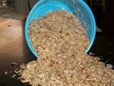 250+ wax worms[aka bee moth packed daily  bes...
