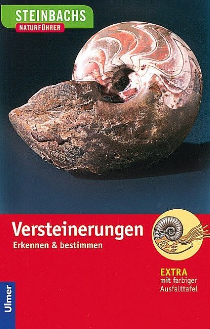 Steinbachs Naturführer. Versteinerungen Gerhard Lichter