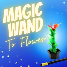 MAGIC WAND TO FEATHER FLOWER - Magic Party Tricks