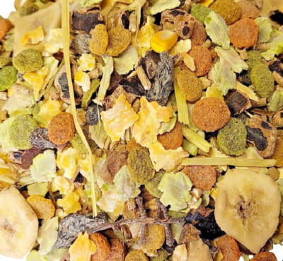 FRUITY GUINEA PIG 350g, 1kg, 5kg, 10kg, 15kg: Animal Food Fruit Feed  Mix