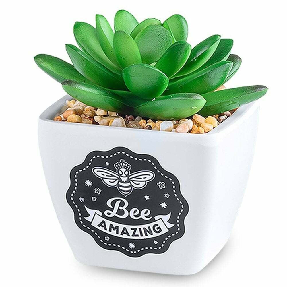 H&H Sentiment Succulent Artificial Plant Pot - Bee Amazing 00281000030