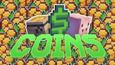 Hypixel Skyblock Coins 10MIL