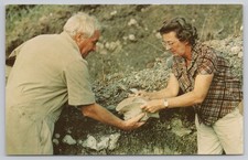 Fossil Elephant Tooth Olduvai Gorge Tanzania Mary & Louis Leakey Postcard