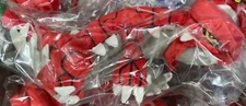 Pokemon ALL STAR COLLECTION Stuffed Toy Groudon Plush S Size Doll Pocket Monster