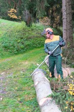 Holzmann Wendehaken Stammwender Baumwender We...