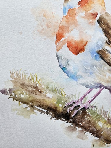Original watercolour painting signed by Elle Smith Art Of A Robin bird, wall art - Picture 3 of 8