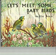 Lets Meet Some Baby Birds (Medici books for children) - Paperback - GOOD