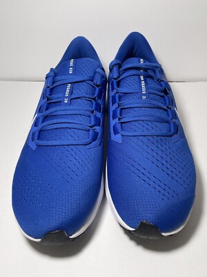 Nike Air Zoom Pegasus 38 TB Men display picture 2