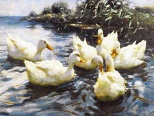 SIX DUCKS A. Koester birds lake farm Tile Mural Kitchen Backsplash Ceramic 10x8