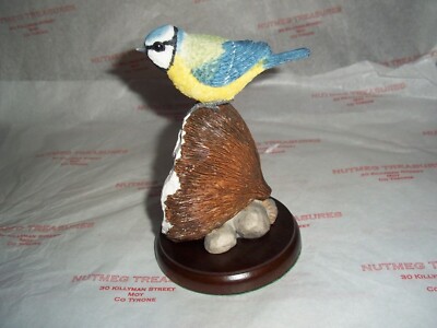 Border Fine Arts A26892 VÖGEL BLAUMEISE AUF KOKOSNUSSSCHALE Figur Neu in OVP VON 2014