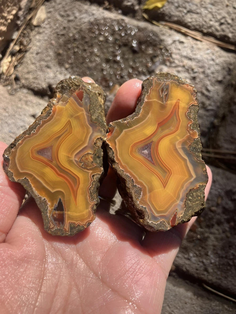 Condor Agate for sale | eBay