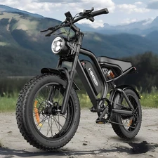 Hikeep 20" Fat Tire Electric Bike 1000W Peak 48V 15Ah E-Bike Bicycle for Adults