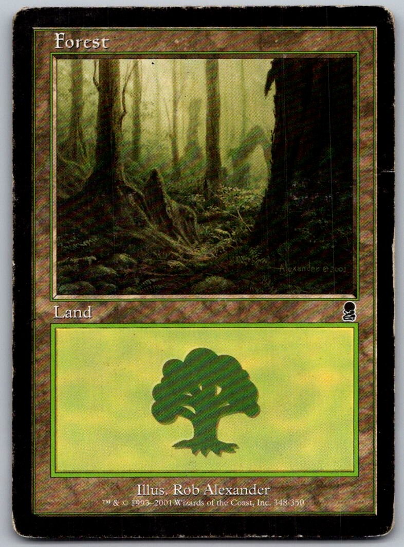 Forest (348) 348 Land Odyssey Magic: The Gathering Lightly Played