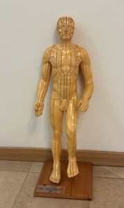 Seirin Rubber Acupuncture Model