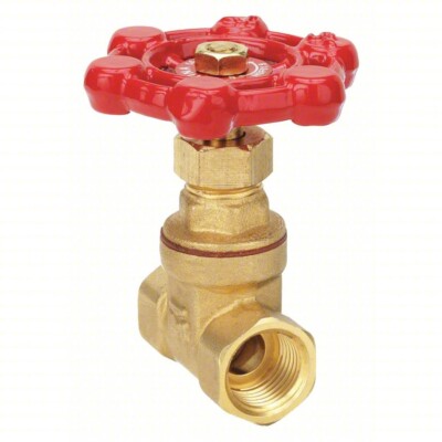 Proline 6TWJ9 3/4'' Brass Gate Valve 200PSI Max Water Pressure
