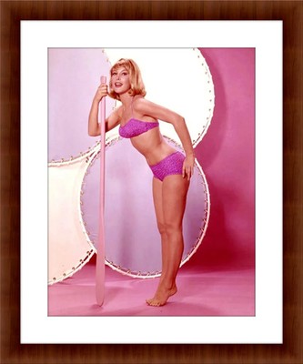 Barbara Eden 8.5 x 11 Color Unframed Collectable Photograph