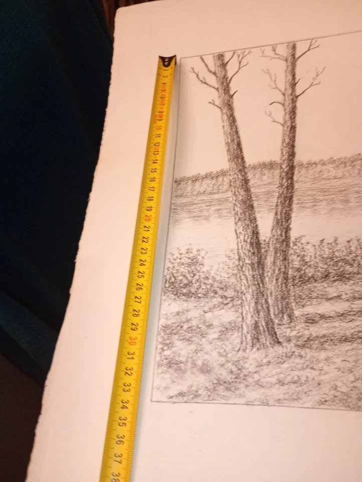 Dessin original L'étang Blanc Seignosse Landes - Photo 4/4