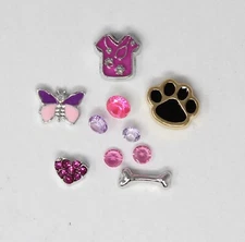 Set 5 Vet Veterinarian: Living Memory Locket Floating Charms: Scrubs Paw Bone 