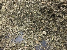 1 lb POUND MARSHMALLOW LEAF Althaea Bulk Medicinal healing Organic Herb