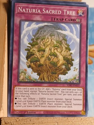 Naturia Sacred Tree SDBT-EN037 Structure Deck: Beware of Traptrix 1st Edition