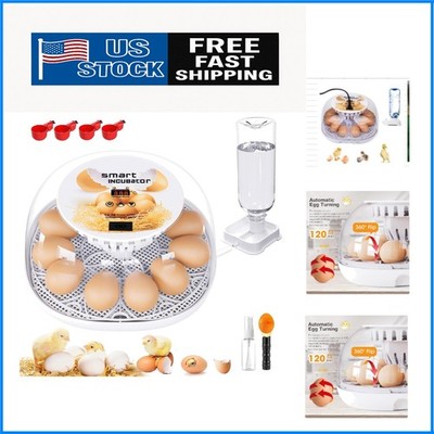 Transparent 12 Egg Incubator with Automatic Temperature Control & Egg Turning