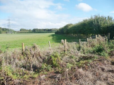 Photo 6x4 Hedged field boundary, north-west of Dingle Farm Treales Lookin c2015