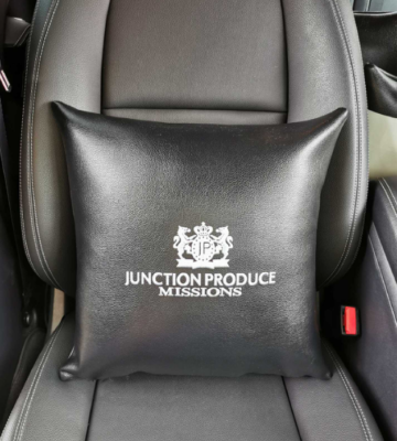 vip car pillows