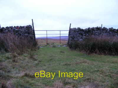 Photo 6x4 Gate in drystone wall on flank of Stake Fell Thornton Rust  c2007