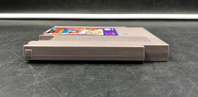 Chip 'N Dale: Rescue Rangers (Nintendo Entertainment System, NES) w/ Protector