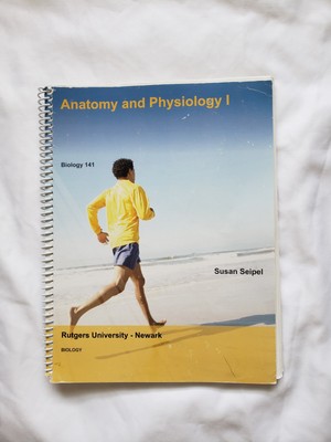 Anatomy And Physiology l For Biology 141 Rutgers University 