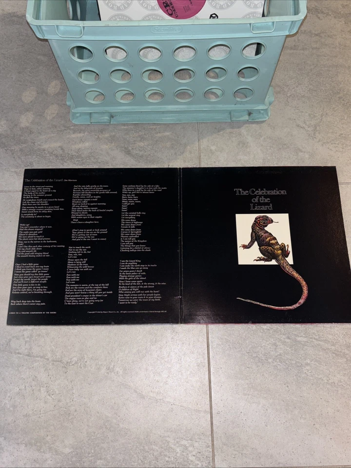 DOORS - WAITING FOR THE SUN LP VINYL ELEKTRA BUTTERFLY LABEL 1976 REISSUE Foto 3 de 4