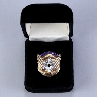 Los Angeles County Sheriff's Department Distinguished Expert Marksman Pin