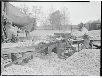 Finishing Lumber Photo shows lumber being put through final stages- Old Photo