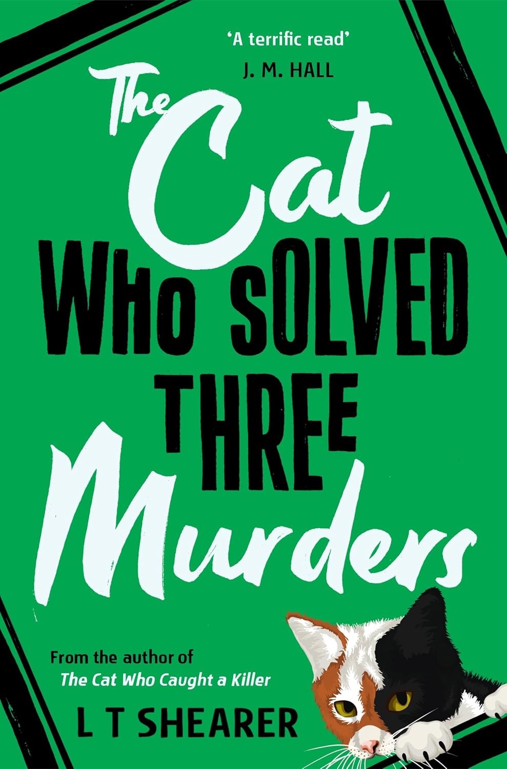 The Cat Who Solved Three Murders by L T Shearer Paperback Book - Image 8