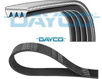 Dayco 4PK975 Keilrippenriemen Keilriemen