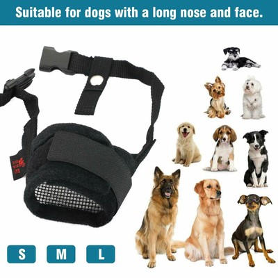 best dog muzzle to stop biting