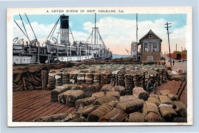 A Levee Scene In New Orleans Louisiana White Border Postcard Unposted