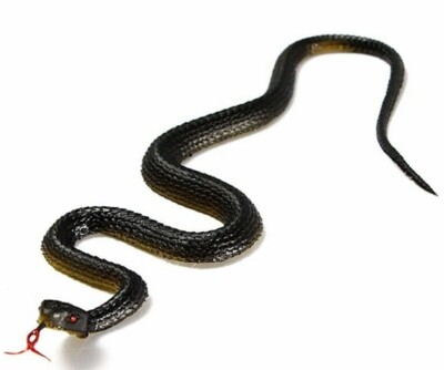 #ad Fake Snake Garden Lifelike Light Weight Ornament Reduce Pressure Rubber C $10.45