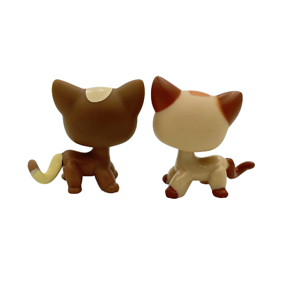 Littlest Pet Shop Chat Shorthair Européen LPS Authentique Hasbro, Figurine Collection