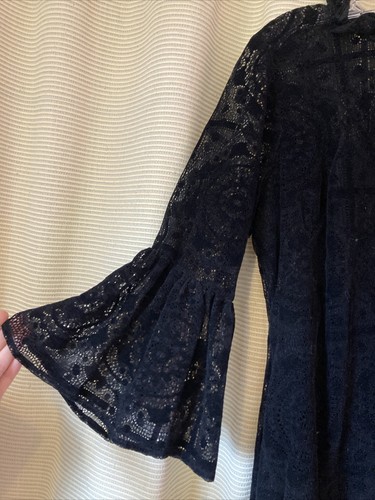 Calvin Klein Burnout Velvet Lace Bell-Sleeve Dress Whimsigoth Witchy Sz 10 P - 第 5/8 張圖片